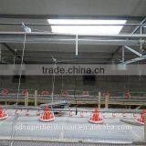 Broiler Equipment for Chicken of the Poultry Equipment