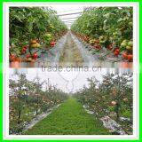 Durable Anti-hail Net,corrosion Proof Netting,woven Fabric Net thumbnail-5