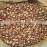 Best Fresh Chestnut for Sale Big Size thumbnail-1