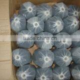 High Tension Polyester Elastic Thread thumbnail-4