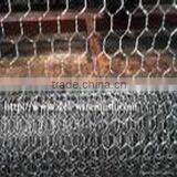 Galvanized Steel Wire Mesh