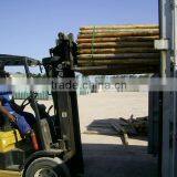 EUCALYPTUS GRANDIS PULP WOOD LOGS