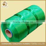 Good Quality PP Webbing Yarn PP Tape Yarn thumbnail-5