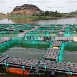 the most economical fish cage farming in lakes