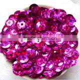 DIY Paillettes Trimming