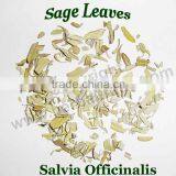 Sage Leaves thumbnail-1