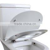 Euro Toilet Seat With Soft Closing Hinges thumbnail-4