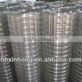 Galvanized Welded Wire Mesh Panel