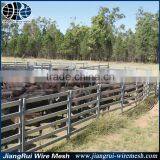 Professional Supplier of Cattle Panel thumbnail-5