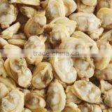 FROZEN CLAM MEAT thumbnail-1