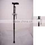 Walking Stick thumbnail-1