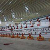 Complete Controlled Automatic Poultry Chicken Farm Equipment for Broiler thumbnail-5