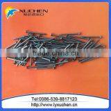 Common wire nails with best quality