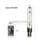 250W HPS Sodium Grow Lamp thumbnail-2