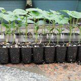 Custom PS Reusable Plastic Plant Seed Starting Grow Trays for Propagation thumbnail-4