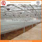Agriculture Equipment Multi-span 10.8m Plastic PE Film Agriculture Greenhouse for Popular Sale thumbnail-6