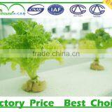 Double Layer Inflation and Film Cover Material Multi Span Prefabricated Greenhouse for Agricultural thumbnail-5
