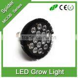 24W 36w 45w 54w LED Grow Light w/ Red & Blue LED Spectrum for Indoor Plant Growing thumbnail-5