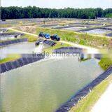Directly SupplyTextured(Point) Geomembrane From Manufacturer thumbnail-6