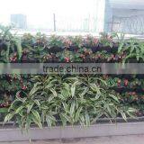 Vertical Garden Wall thumbnail-1