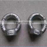 Rigging Galvanized Drop Forged Eye Nut thumbnail-4