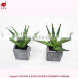 Chinese Factory Artificial Mini Aloe Plant Fake Mini Succulent Potted thumbnail-1