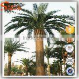 Top Selling Popular Outdoor Artificial Palm Tree For Sale thumbnail-2