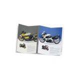 Brochures thumbnail-1