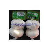 China Fresh Garlic thumbnail-2