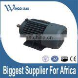 AC Electric Fireplace Asynchronous Motor thumbnail-3