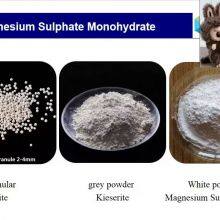 Magnesium Sulphate Monohydrate