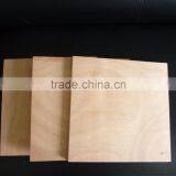 Plywood Hot Press thumbnail-2