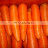 Chines Bulk Fresh Carrots Fresh Carrot Price thumbnail-2