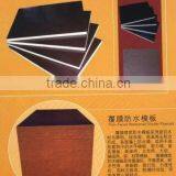 Film Faced Plywood thumbnail-1