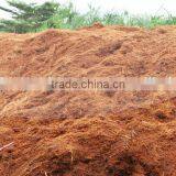 Loose Cocopeat (Qiu Qiu : 2598494113) thumbnail-1