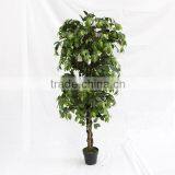 Indoor Artificial Ficus Tree Wooden Trunk for Sale thumbnail-2