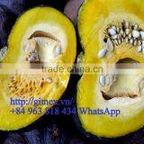 FRESH PUMPKIN +84963818434 Whatsapp thumbnail-3