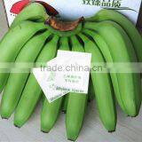 Direct Factory Price the Good Quality Ethylene Ripener for Banana(3) thumbnail-2