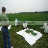 2015 China Origin Organic Wheat Grass Juice Green Powder thumbnail-5