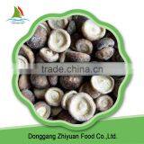 Chinese High Quality Frozen Shiitake And Law Price Hot Selling thumbnail-4