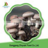 Chinese High Quality Frozen Shiitake And Law Price Hot Selling thumbnail-1