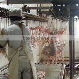 Small and Portable Automatic Slaughtering Line for Poultry/chicken Slaughter House thumbnail-1