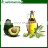 TL-80 Automatic Mini Olive Oil Press Machine Multifunctional, Screw Oil Press Machine thumbnail-4