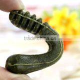 Pet Chew Feed Machine thumbnail-2