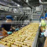 Snack Making Machine Potato Chips Machine thumbnail-2