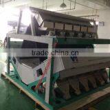 12 Chutes Corn Color Sorter/color Sorting Machine thumbnail-5