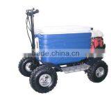 Hot Sale Cheap Popular Gas Cooler Scooter 43CC SX-G110 Popular thumbnail-2