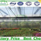 High Qulity Polycarbonate Greenhouse Panels and Aluminum Profile for Sale thumbnail-3