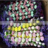 Wholesale Hot Sale Plastic Garland for Girls thumbnail-4