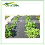 Agricultural Plastic Weed Control Mat / Ground Cover Net thumbnail-5